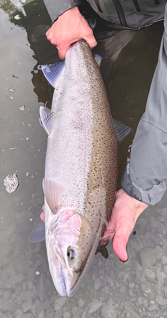 March fishing report