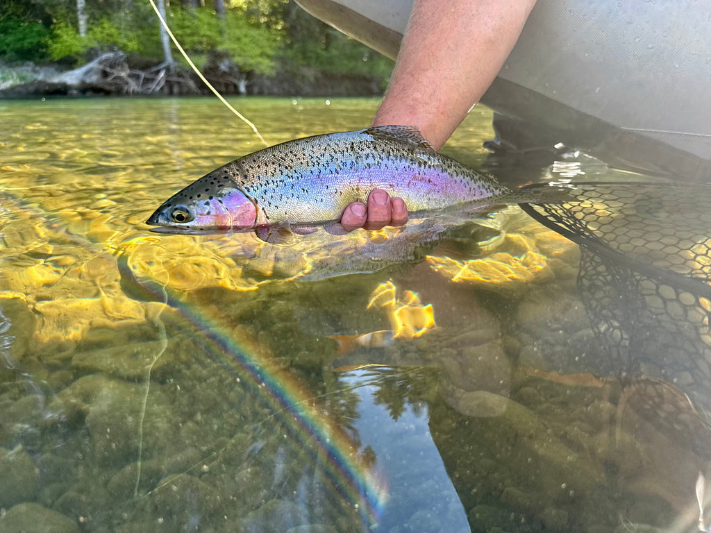 Fishy Reporting Fishing Report – Creekside Angling Company